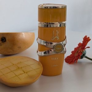 Yara Tous - Image 4